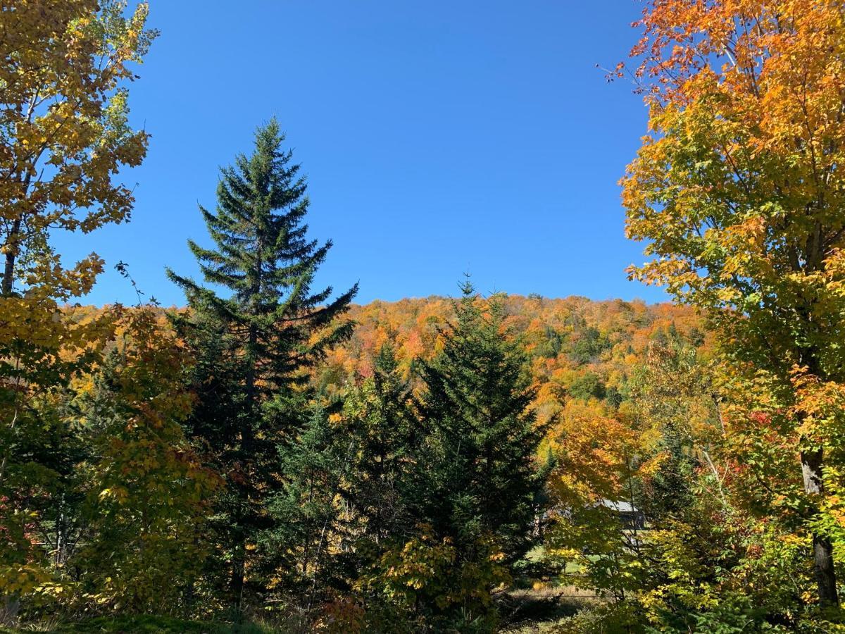 Loft Nature Laurentides Val-des-Lacs Eksteriør billede