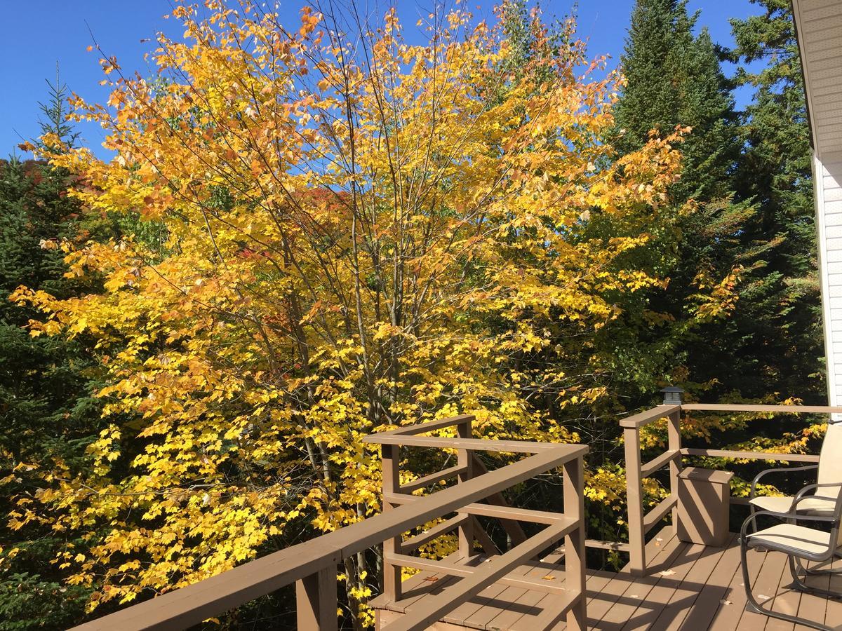 Loft Nature Laurentides Val-des-Lacs Eksteriør billede
