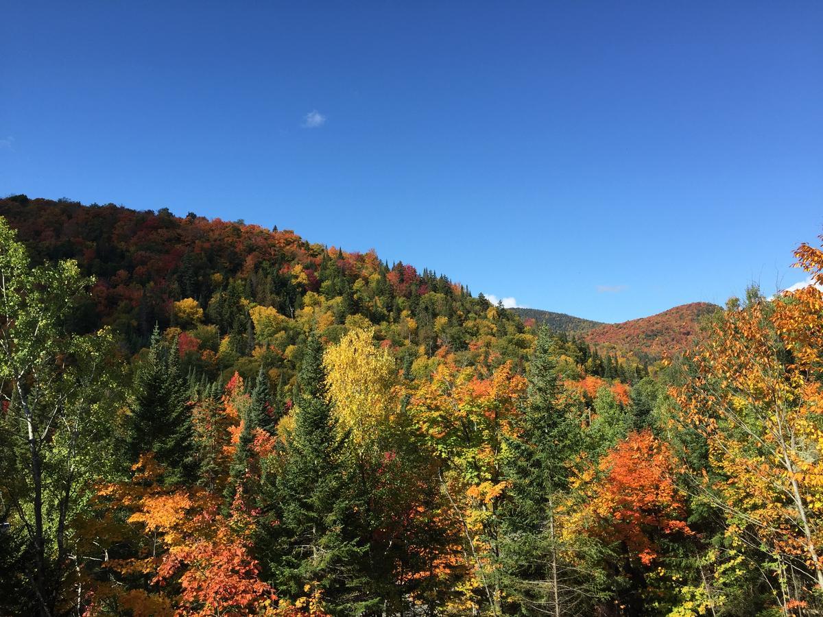 Loft Nature Laurentides Val-des-Lacs Eksteriør billede