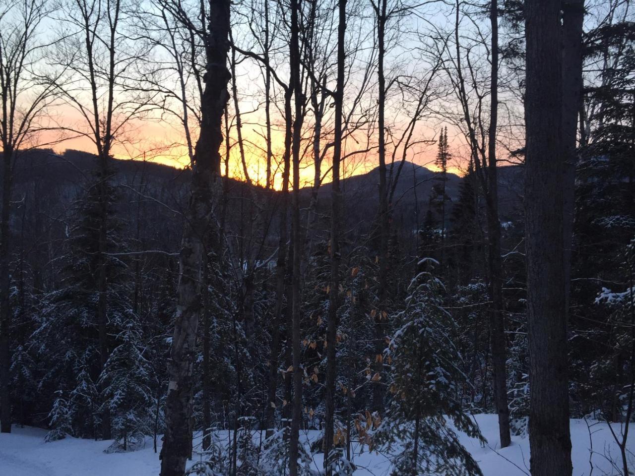 Loft Nature Laurentides Val-des-Lacs Eksteriør billede